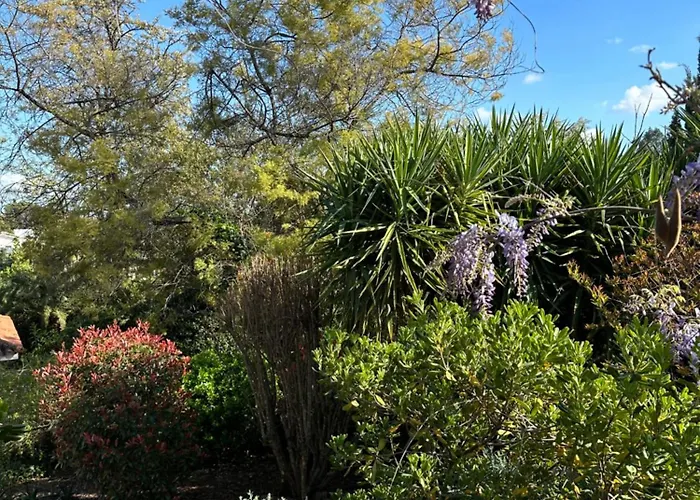 La Casita De Teresa Feriehus *