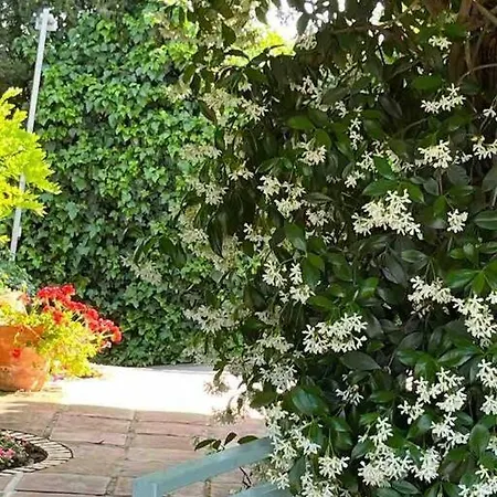 펜션 La Casita De Teresa *