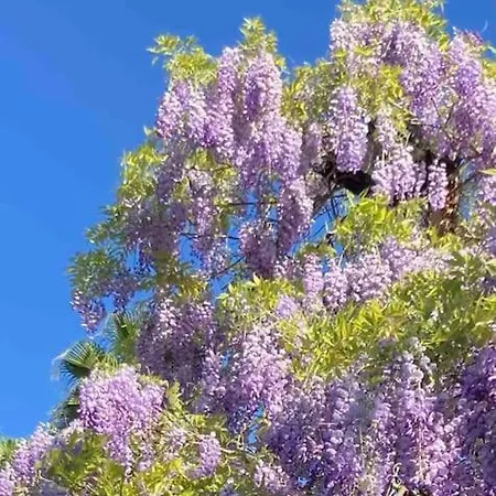 펜션 La Casita De Teresa 코르도바