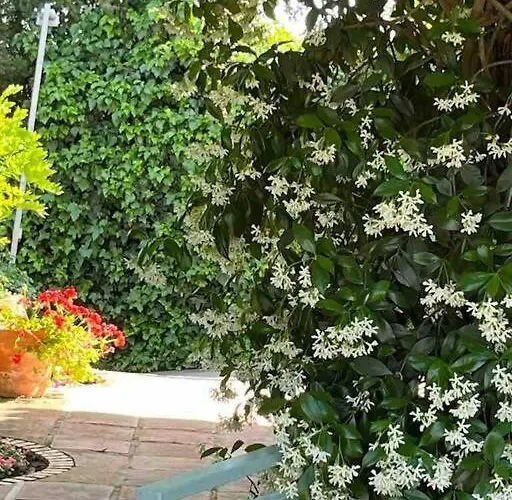 Будинок відпочинку La Casita De Teresa *