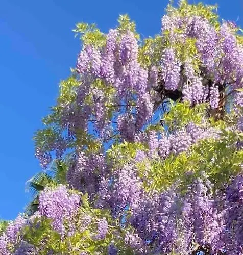 Будинок відпочинку La Casita De Teresa Кордова