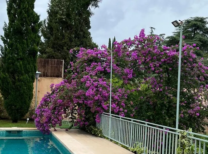 La Casita De Teresa 科爾多瓦