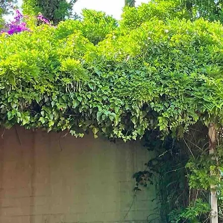 La Casita De Teresa 度假居