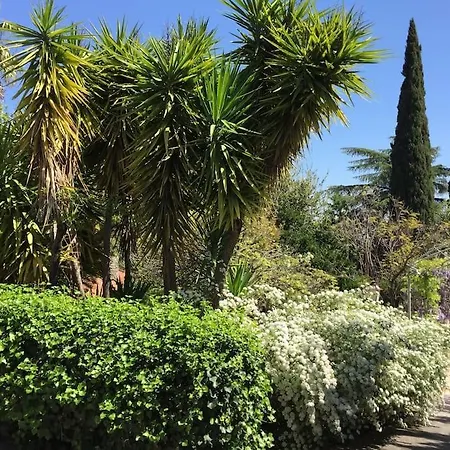 La Casita De Teresa 科爾多瓦