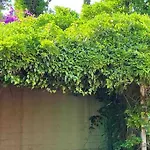 La Casita De Teresa Semesterbostad